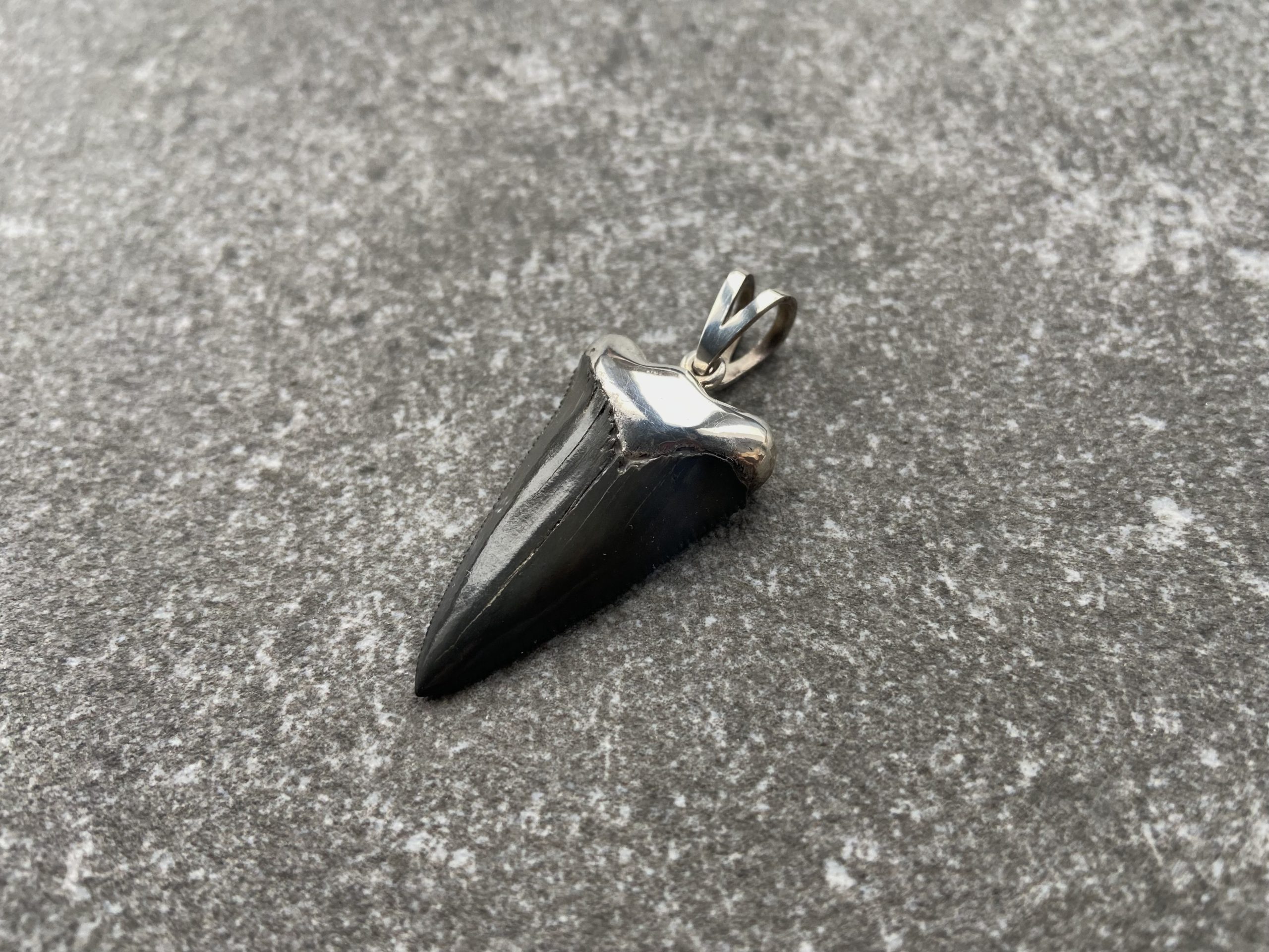 Acient shark tooth pendant