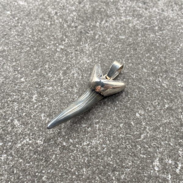 Sterling Silver Shark Tooth Pendant on Pouch