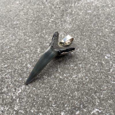 Sterling Silver Shark Tooth Pendant on Pouch