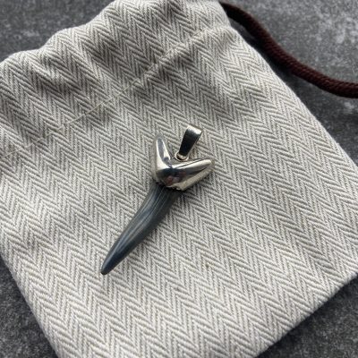 Sterling Silver Shark Tooth Pendant on Pouch