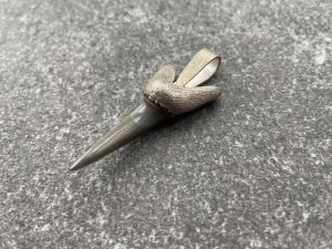 Sterling Silver Shark Tooth Pendant