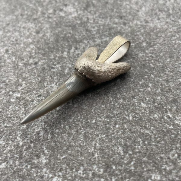 Sterling Silver Shark Tooth Pendant
