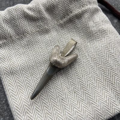 Sterling Silver Shark Tooth Pendant