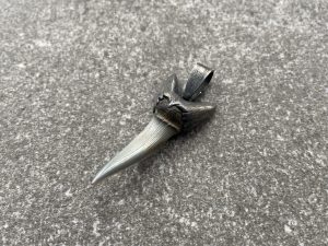 Blackened Silver Shark Tooth Pendant on Pouch