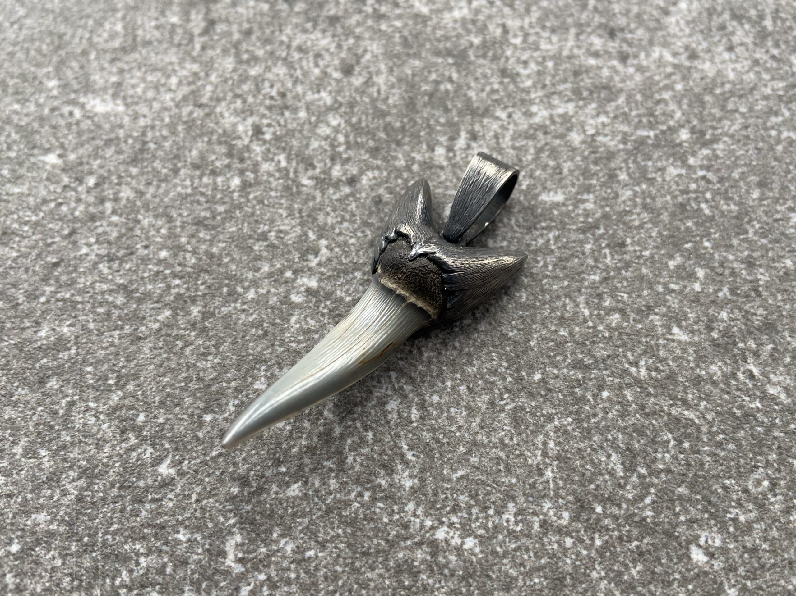 Acient shark tooth pendant