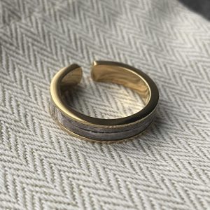 Stainless steel ring