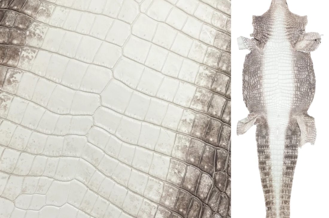 Himalaya Crocodile leather